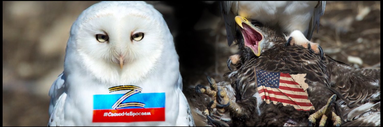 fish 🇷🇺🇷🇺🇫🇮🇫🇮's banner