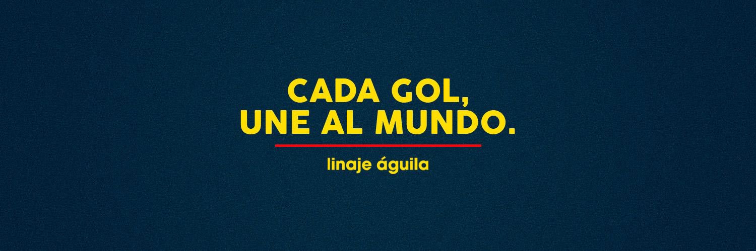 Linaje Águila ®'s banner