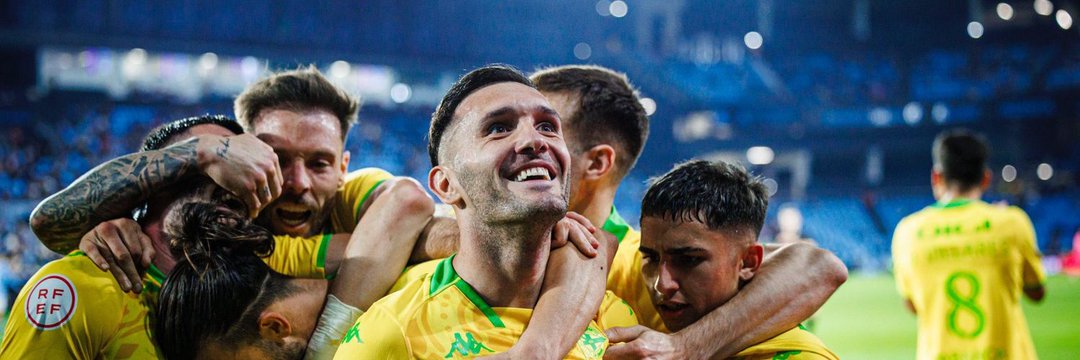 Baiaian 🍍's banner