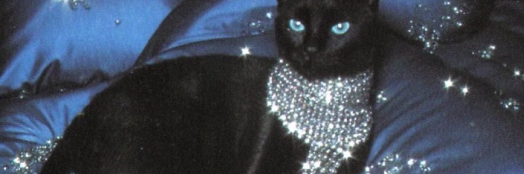 BadGalShay's banner