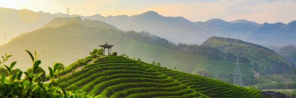 In Zhejiang's banner