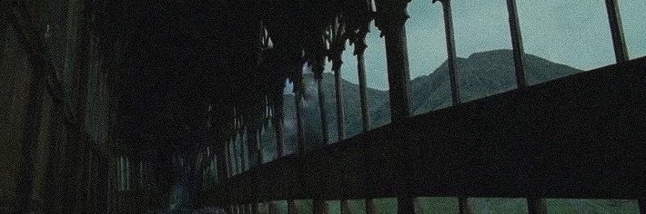 𝖒𝖎𝖆 ˚˖𓍢ִ໋🦢˚'s banner