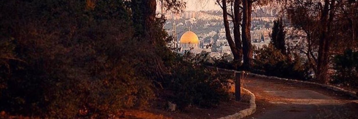 Ahmad Arabi د.أحمد العربي's banner
