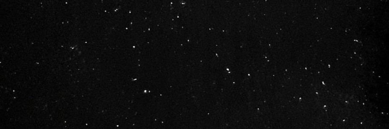 .'s banner