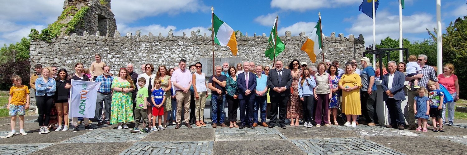 Peadar Tóibín TD's banner