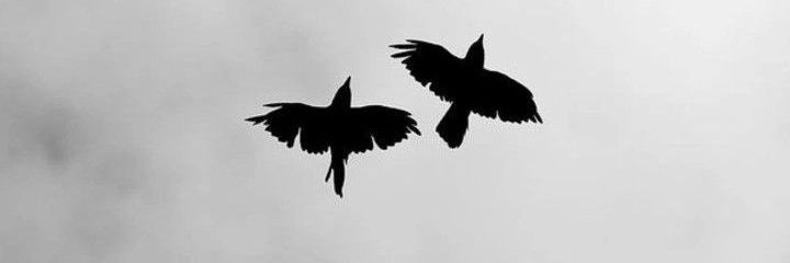 ...'s banner