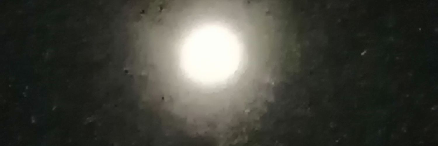 Emilia Tarquinio's banner