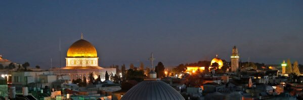 ماجد عبد الهادي Majed Abdulhadi's banner