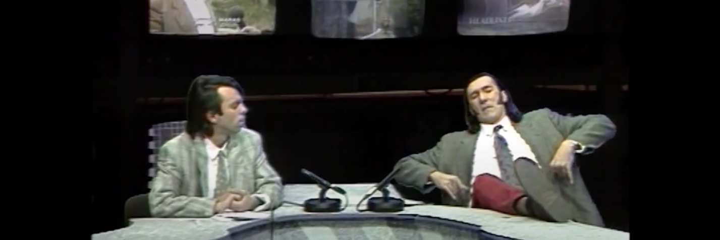 Hana Hasanbegović's banner