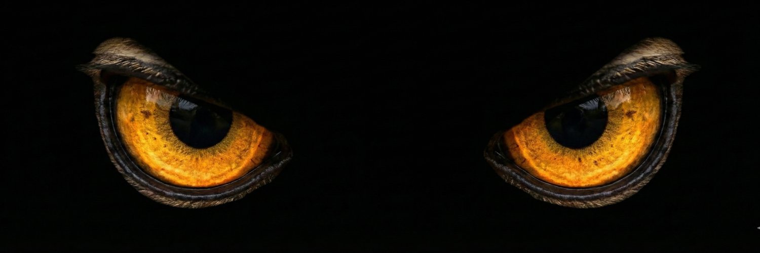 Codista's banner