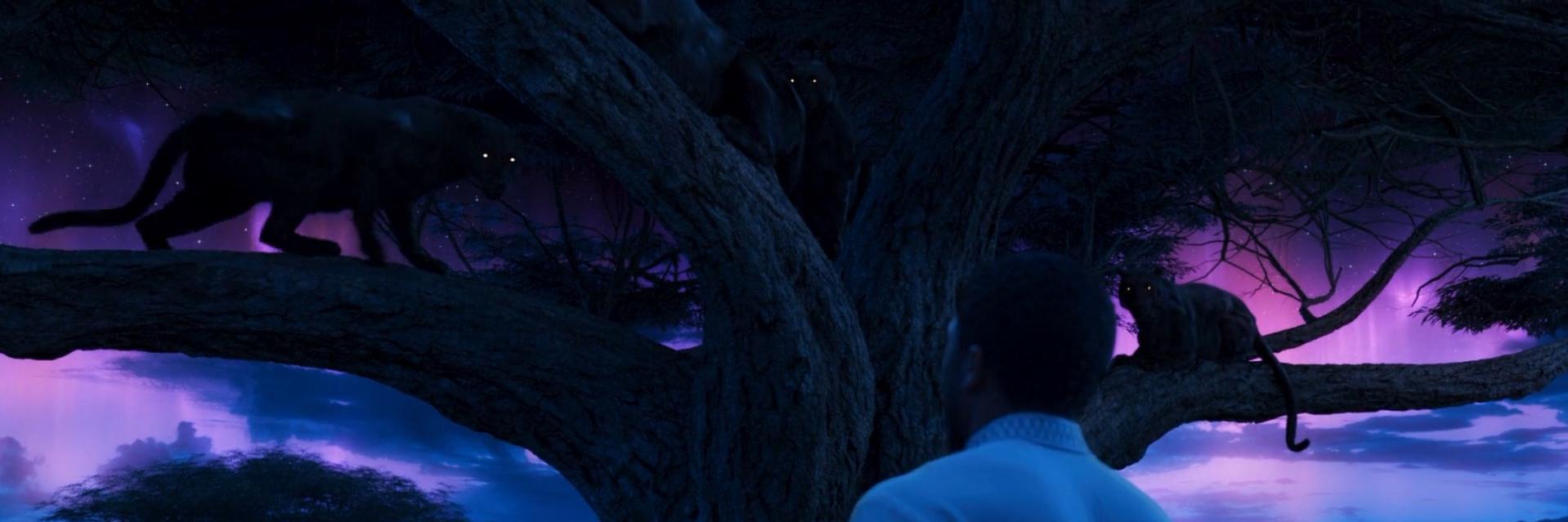 Steve ☥'s banner
