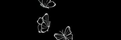 liv's banner