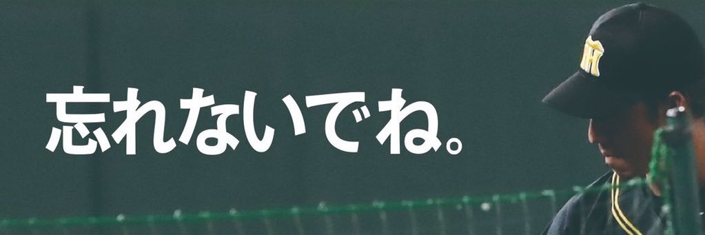 虎ファルガー(いつか参戦）'s banner