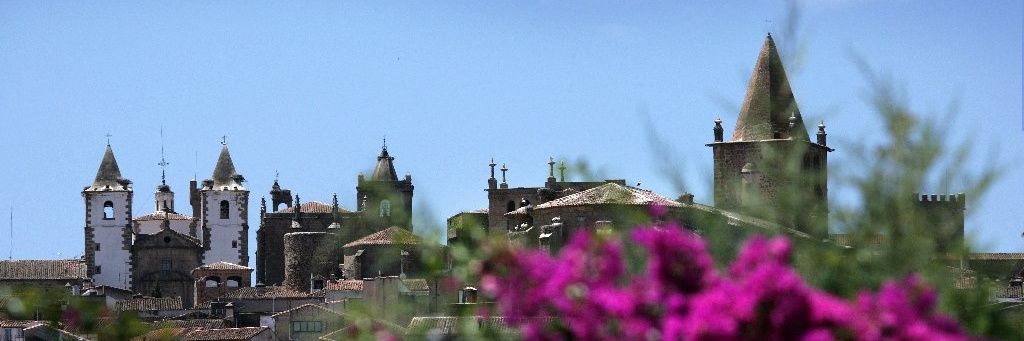 Ayuntamiento Cáceres's banner