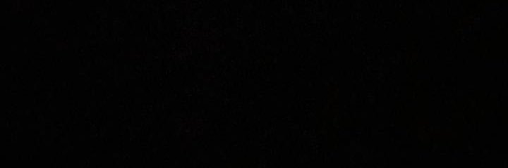 lexie's banner