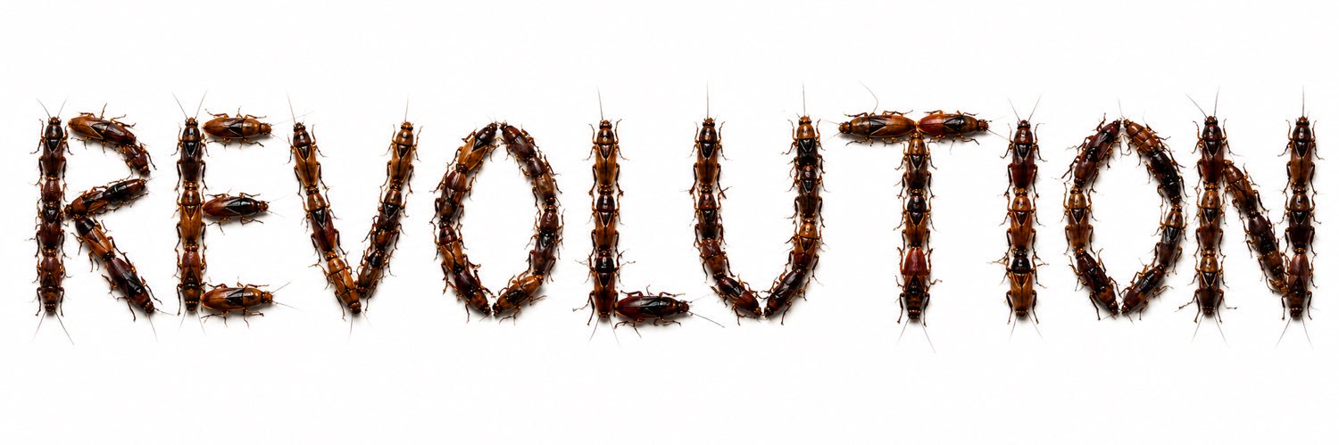 Aksology's banner