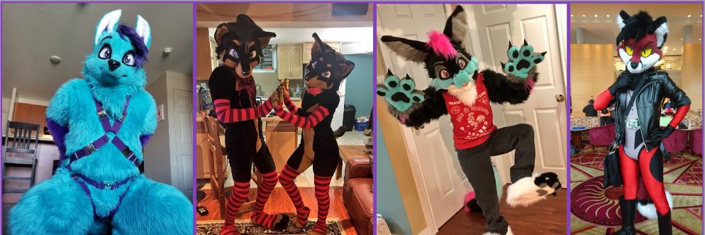 ❣️Hojozilla.bsky.social❣️🔜 FD's banner