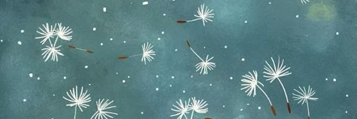 ᴅʜɪʏᴀ💫's banner