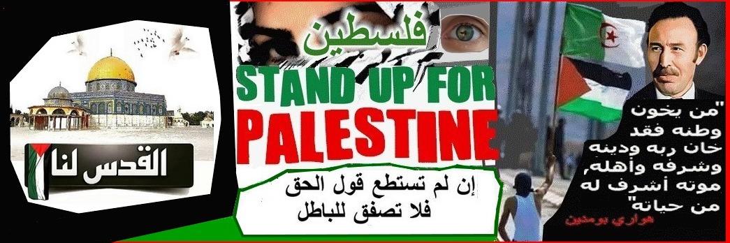 DZone 🇩🇿 جزائرنا's banner