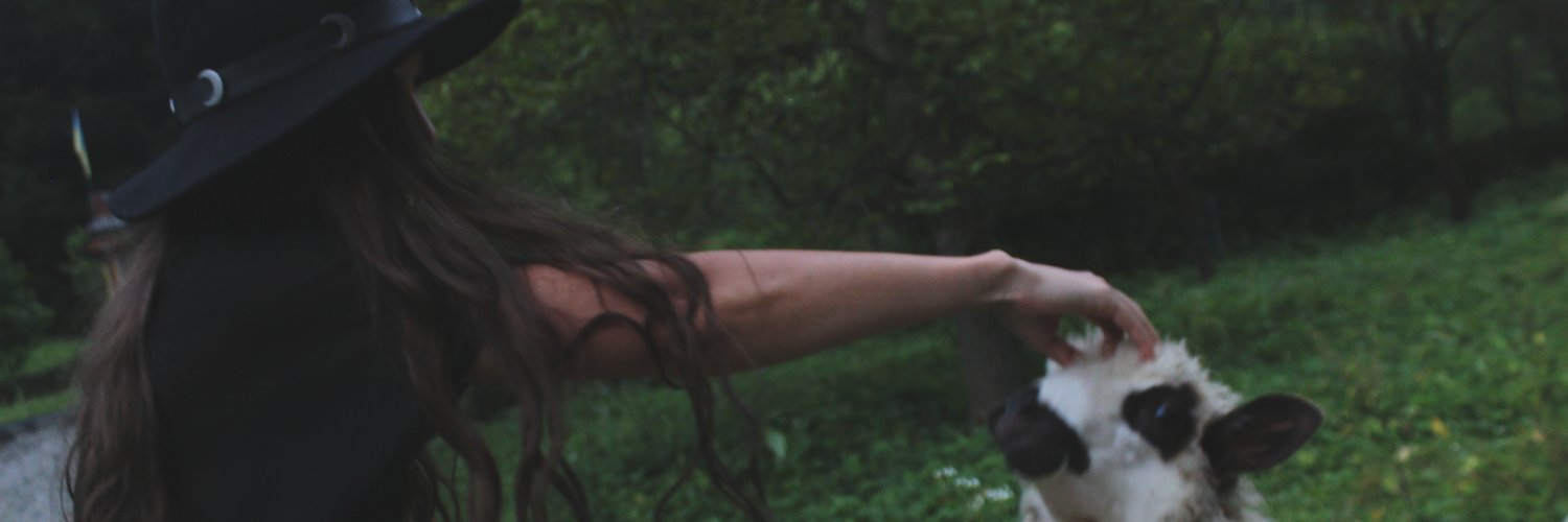 Domi Natrix Natrix's banner
