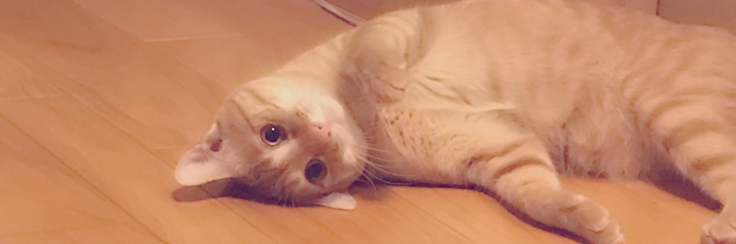 おぐ。's banner