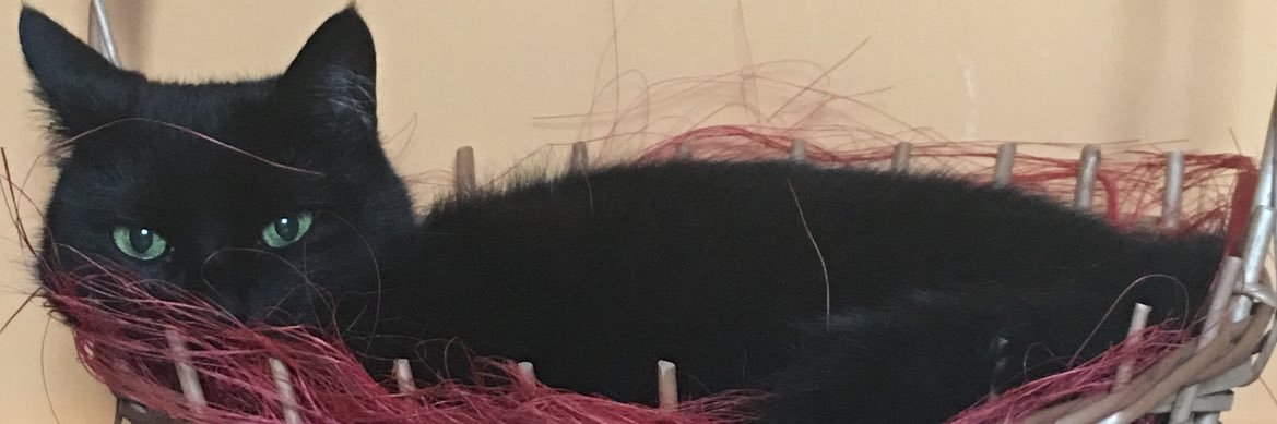 Bꓭambo's banner