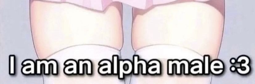 sis ୨୧'s banner