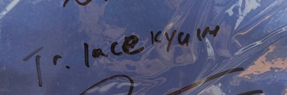 Lace's banner