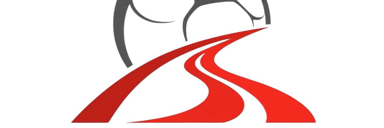 Süper Lig Yolu®'s banner