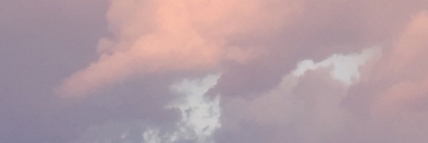 Joksi's banner