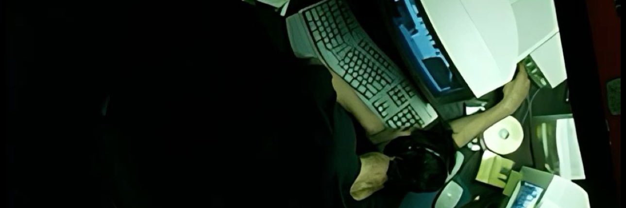 AVO's banner