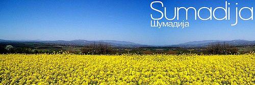 Danijel's banner