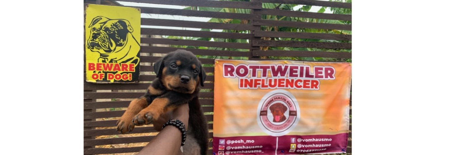 Rottweiler General 🎖️🎖️🎖️🎖️🎖️'s banner
