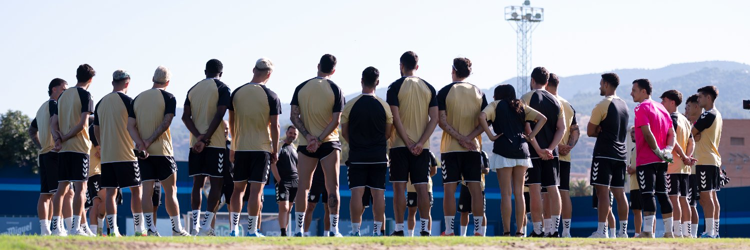 Málaga CF's banner