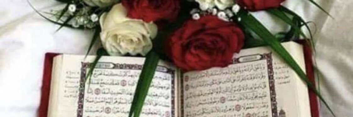 فراشة الوادي 🌺🍃 🇧🇭's banner