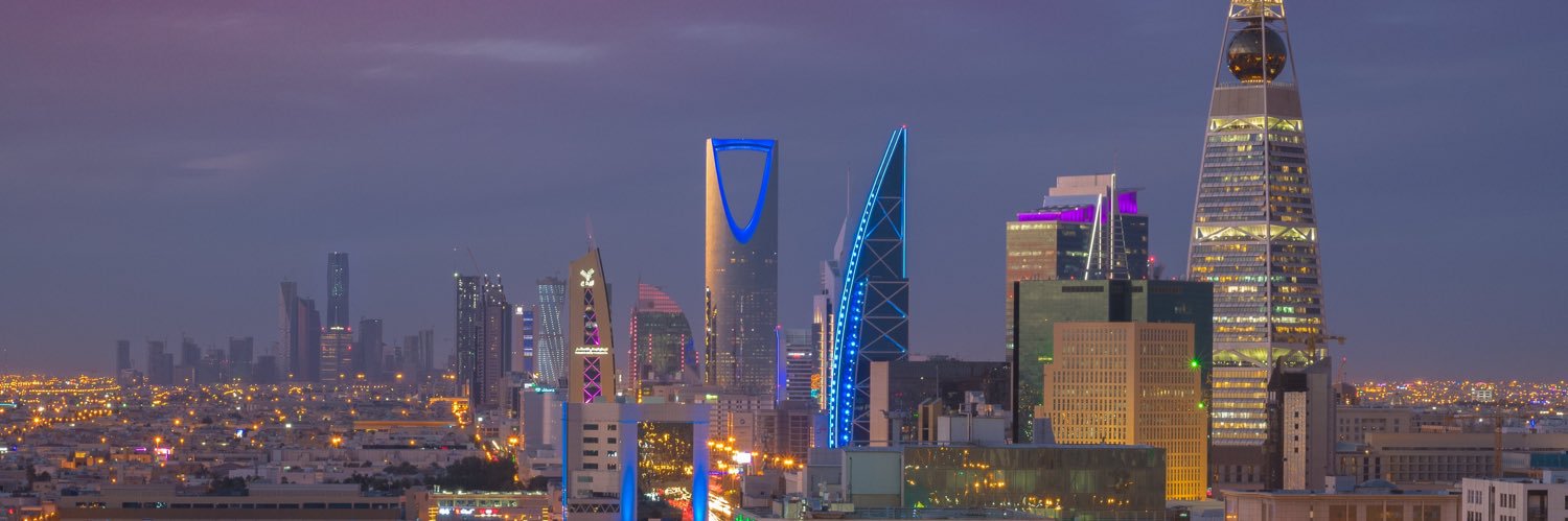 سلطان العساكر's banner