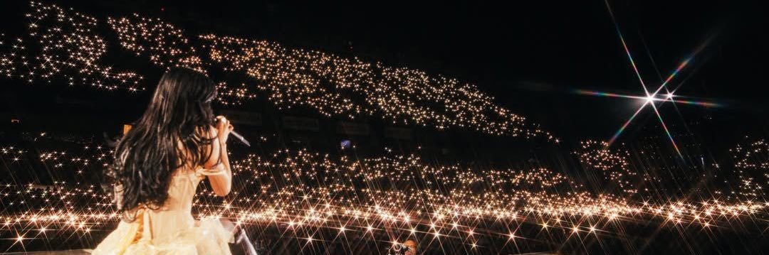 sofi's banner