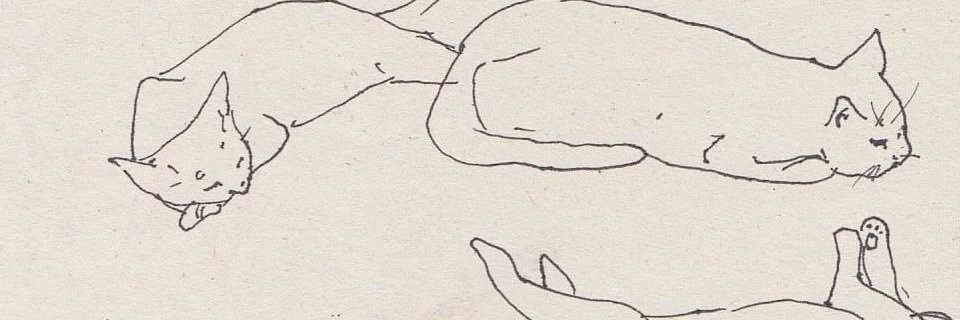 mariana's banner