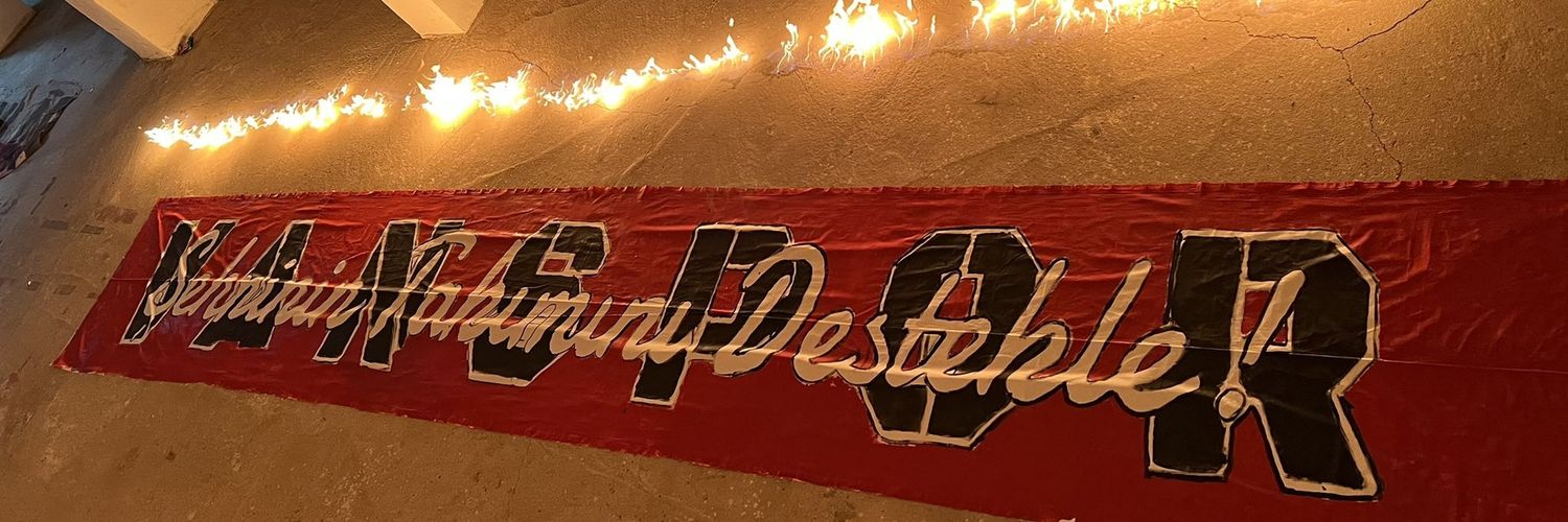 Roj☀️'s banner