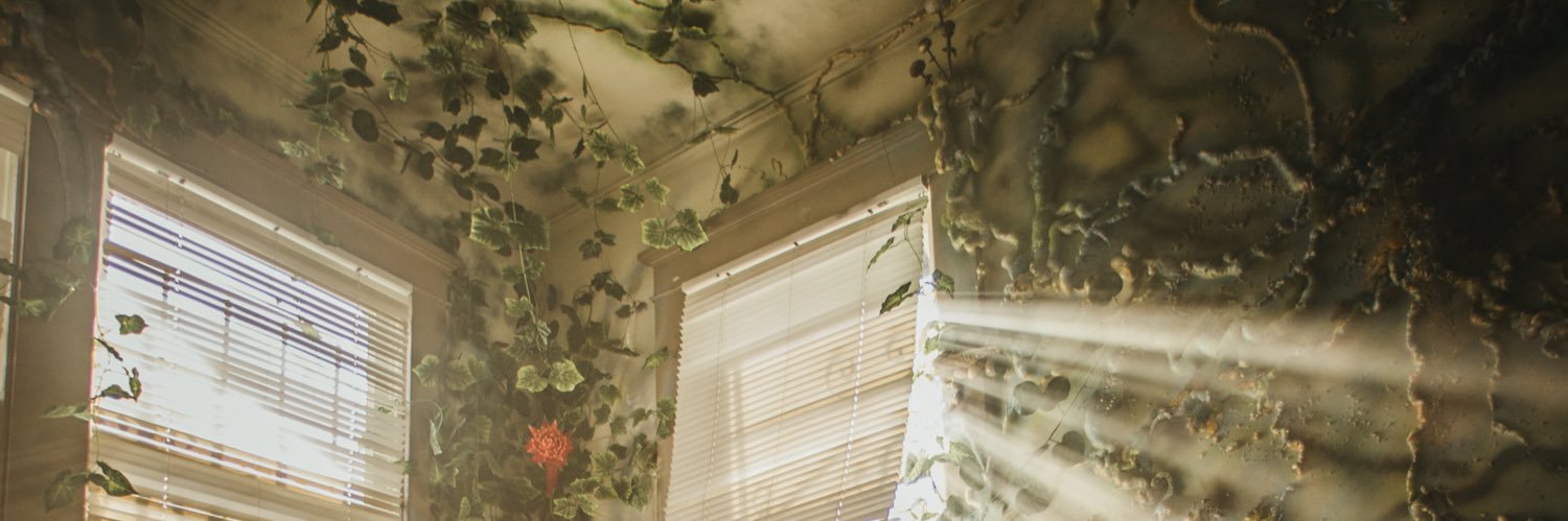 Of The Trees's banner