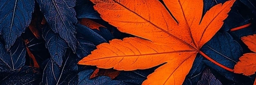 مختار الديرة's banner