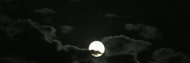 Dᵣₑw's banner