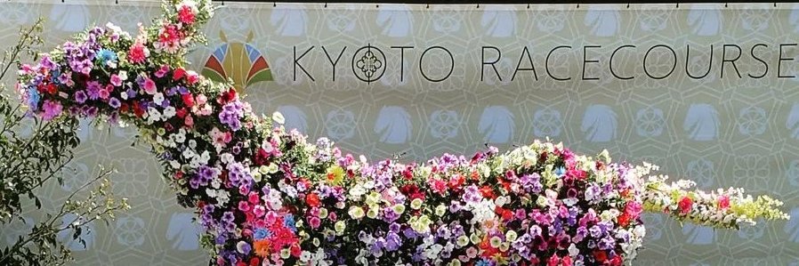 グレンかかく's banner