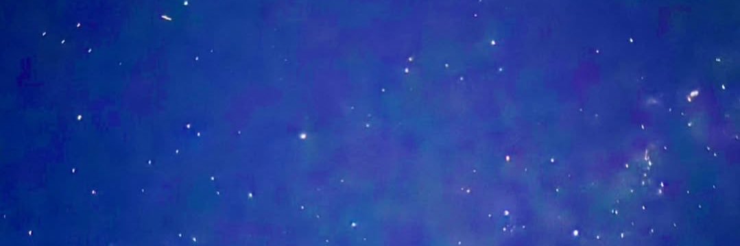 かめかな's banner