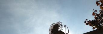 ねこ's banner
