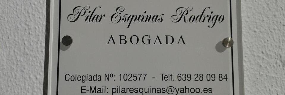 Pilar Esquinas's banner
