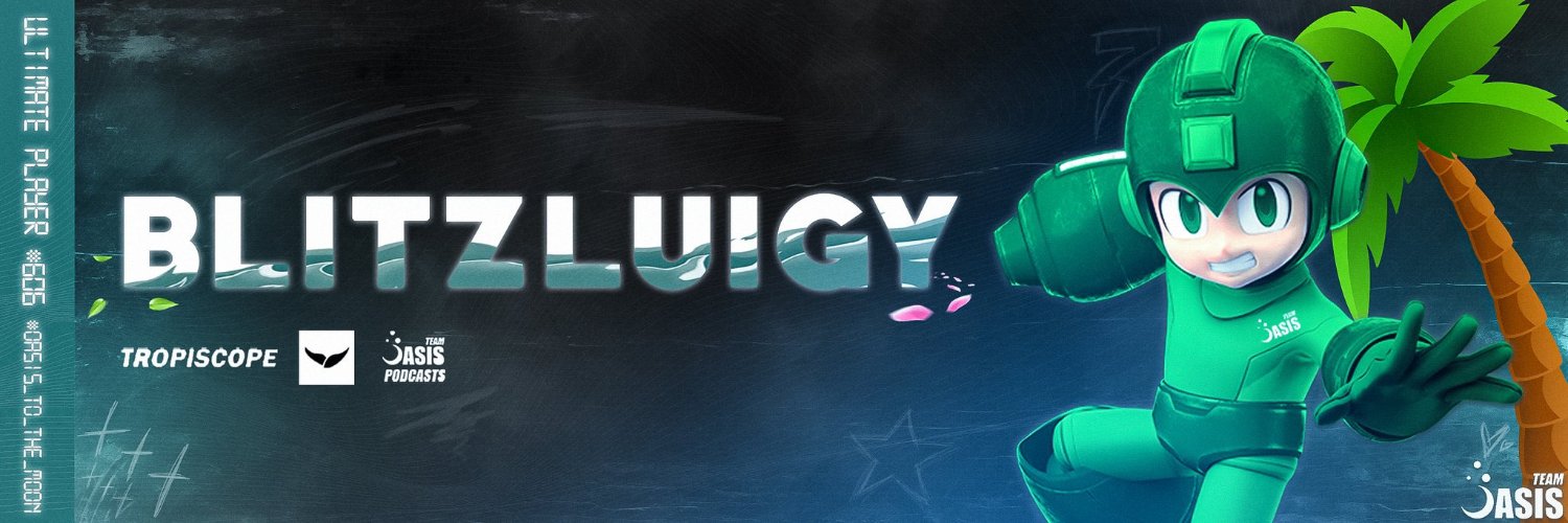ZD BlitzLuigy's banner