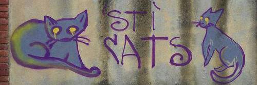 Alessia Candito's banner