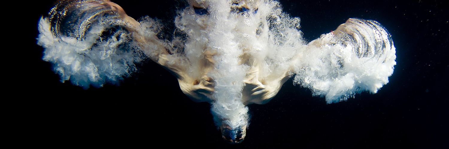 David Boudia's banner