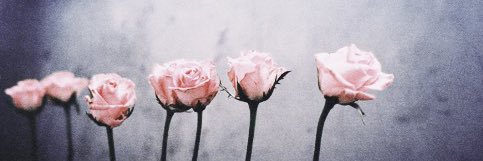 ‡ bella ‡'s banner